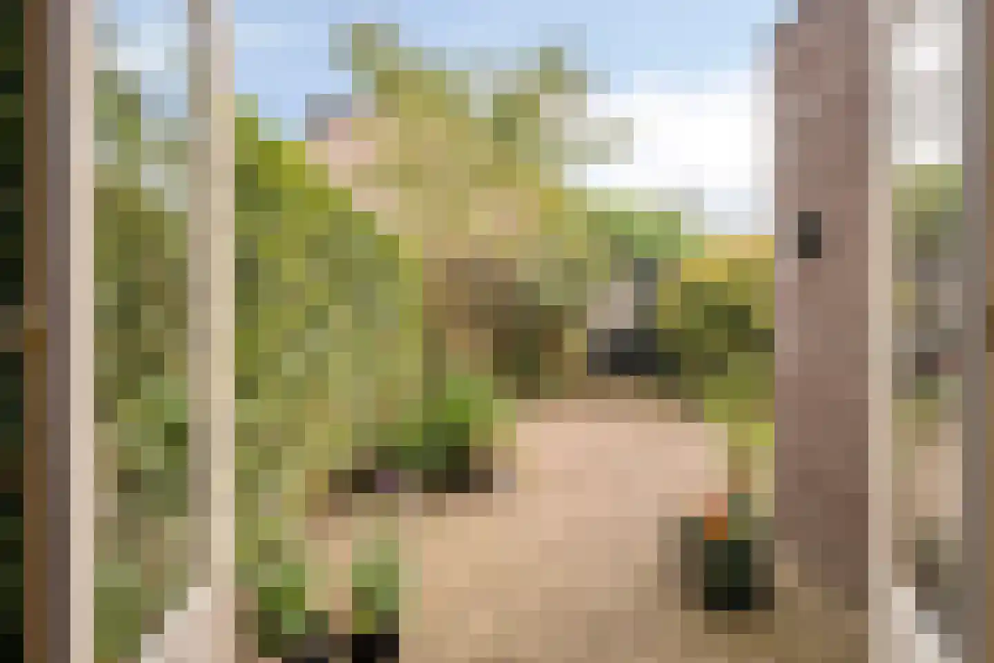 Papenhoeflaan 41 Oudewater thumbnail 34