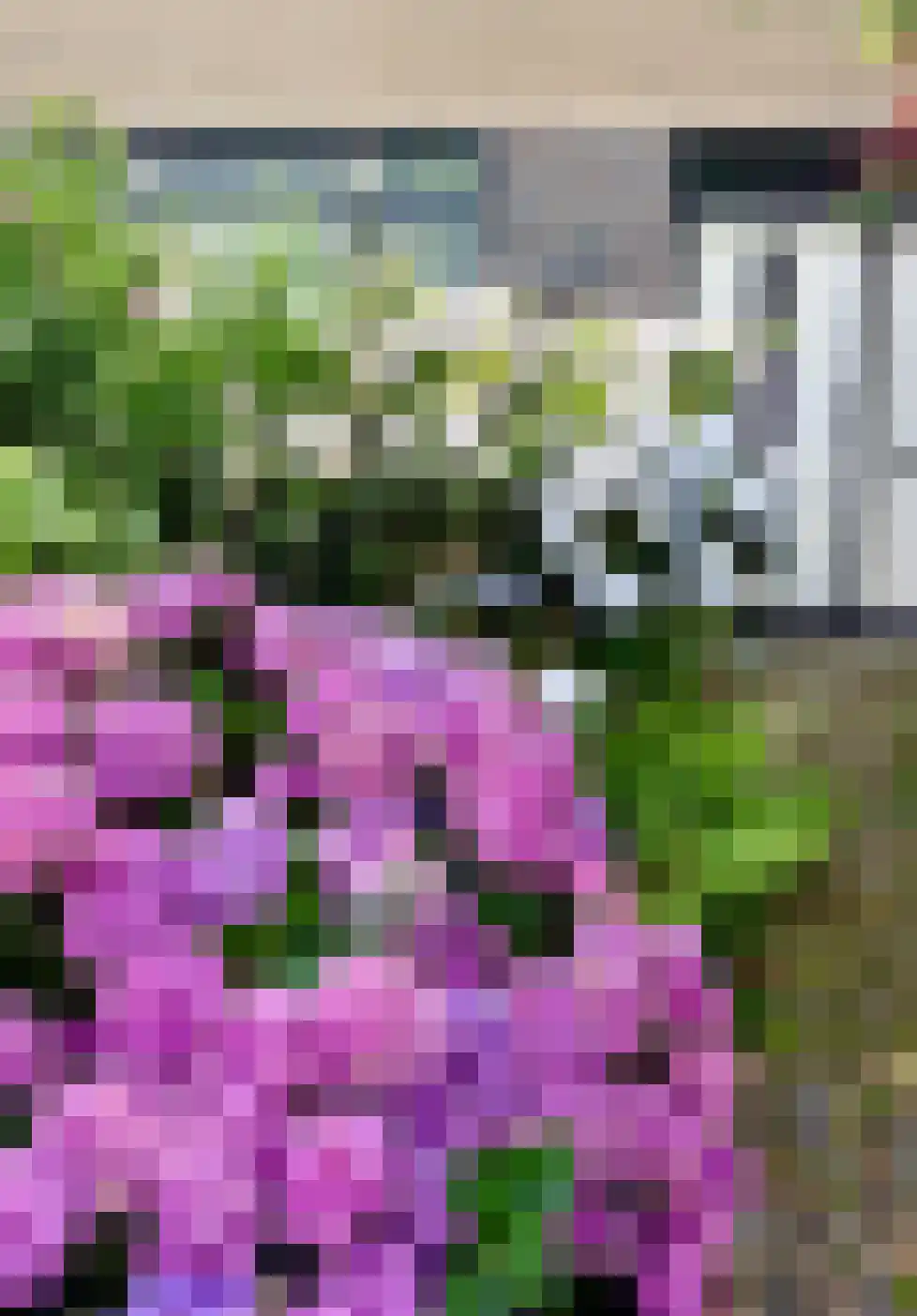 Papenhoeflaan 41 Oudewater thumbnail 40