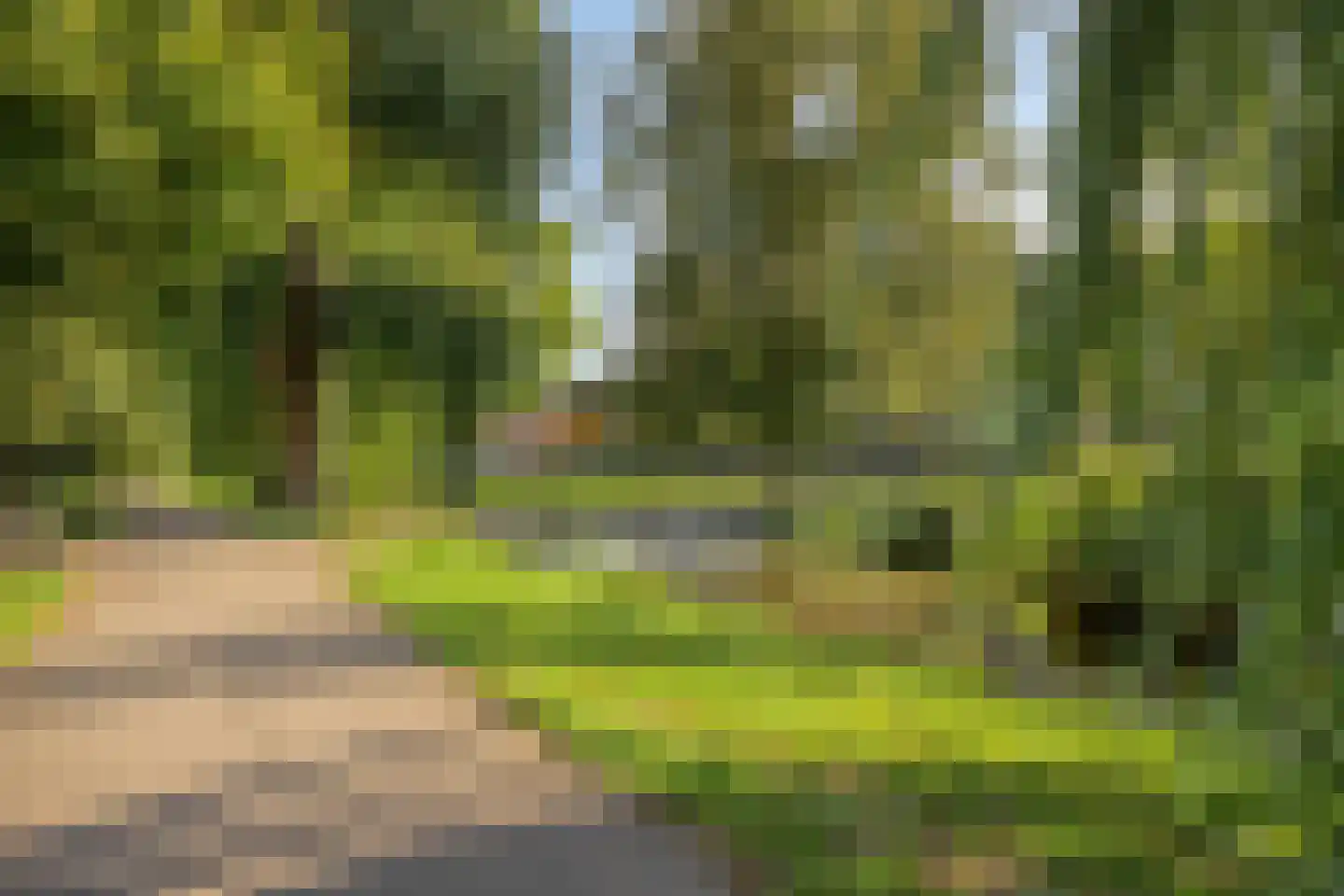 Papenhoeflaan 41 Oudewater thumbnail 42