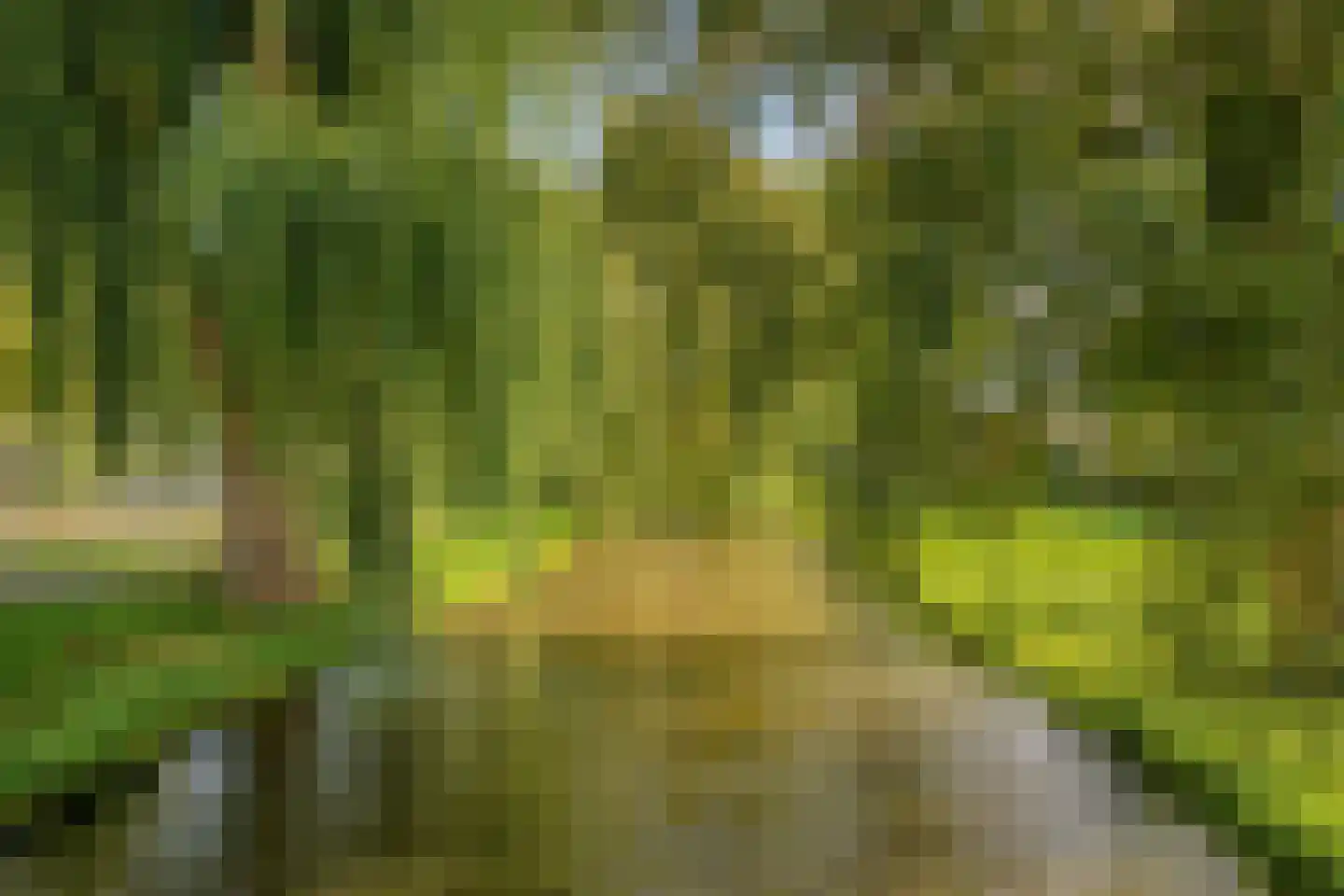 Papenhoeflaan 41 Oudewater thumbnail 43