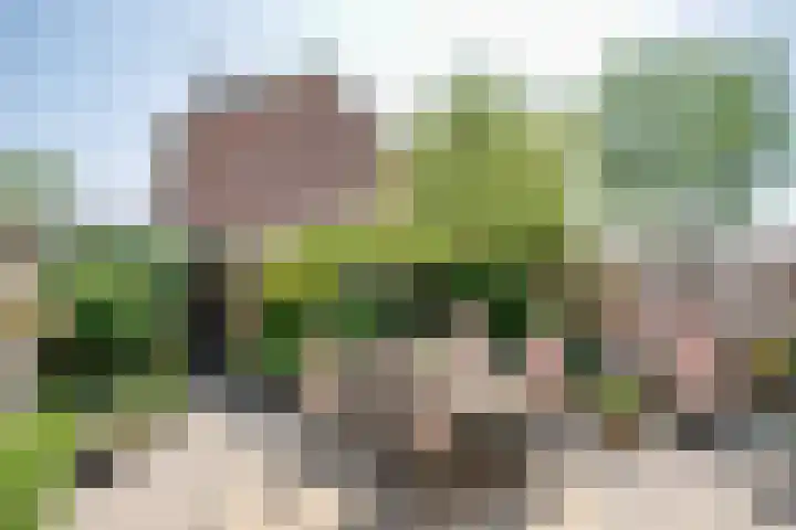 Papenhoeflaan 61 Oudewater thumbnail 13