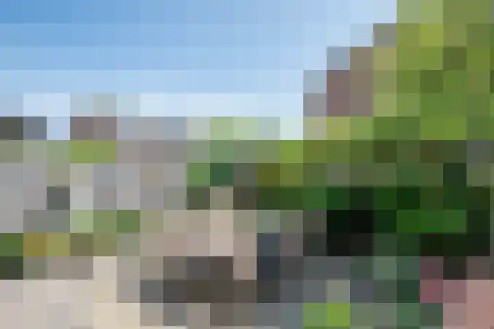 Papenhoeflaan 61 Oudewater thumbnail 14