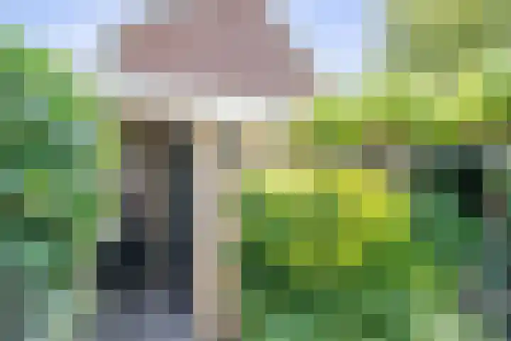 Papenhoeflaan 61 Oudewater thumbnail 15