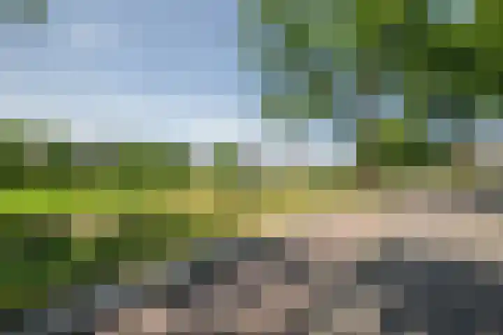 Papenhoeflaan 61 Oudewater thumbnail 36