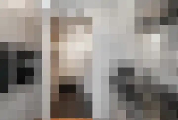 Papenhulst 1 D 's-Hertogenbosch thumbnail 11