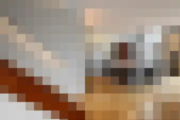 Papenhulst 1 D 's-Hertogenbosch thumbnail 12