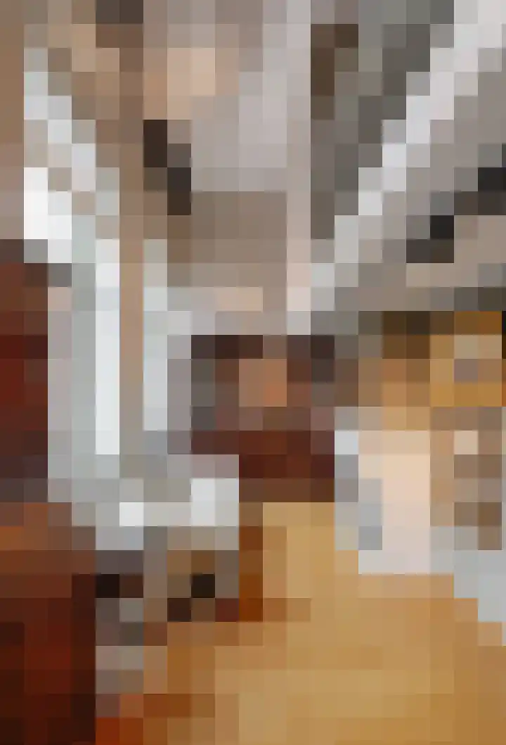 Papenhulst 1 D 's-Hertogenbosch thumbnail 14