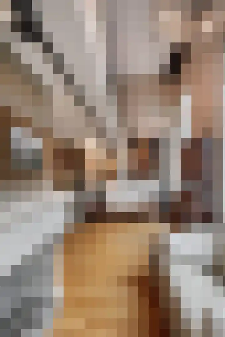 Papenhulst 1 D 's-Hertogenbosch thumbnail 16