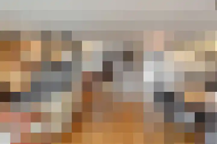 Papenhulst 1 D 's-Hertogenbosch thumbnail 19