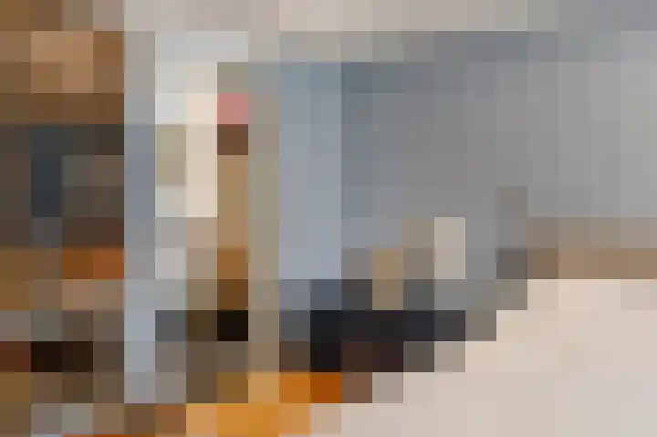 Papenhulst 1 D 's-Hertogenbosch thumbnail 24