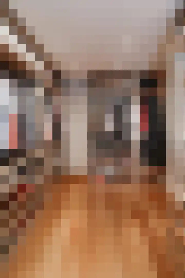 Papenhulst 1 D 's-Hertogenbosch thumbnail 29