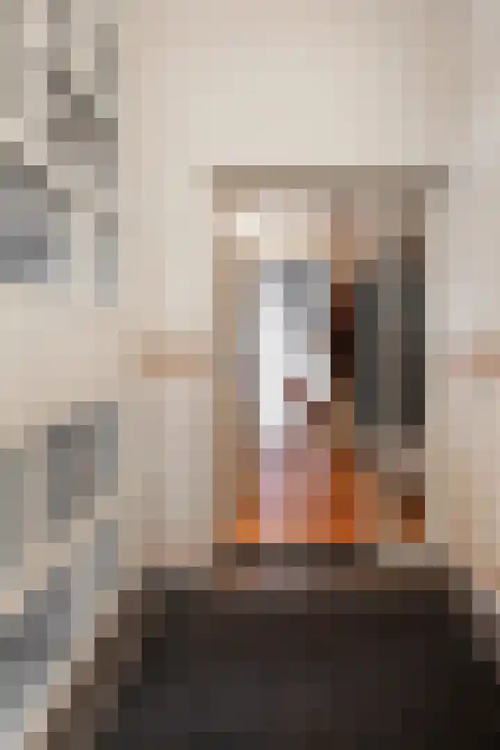 Papenhulst 1 D 's-Hertogenbosch thumbnail 32