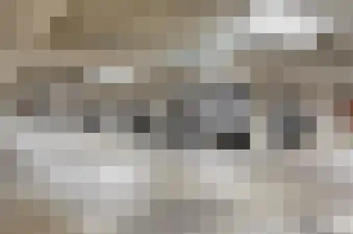 Papenhulst 1 D 's-Hertogenbosch thumbnail 35