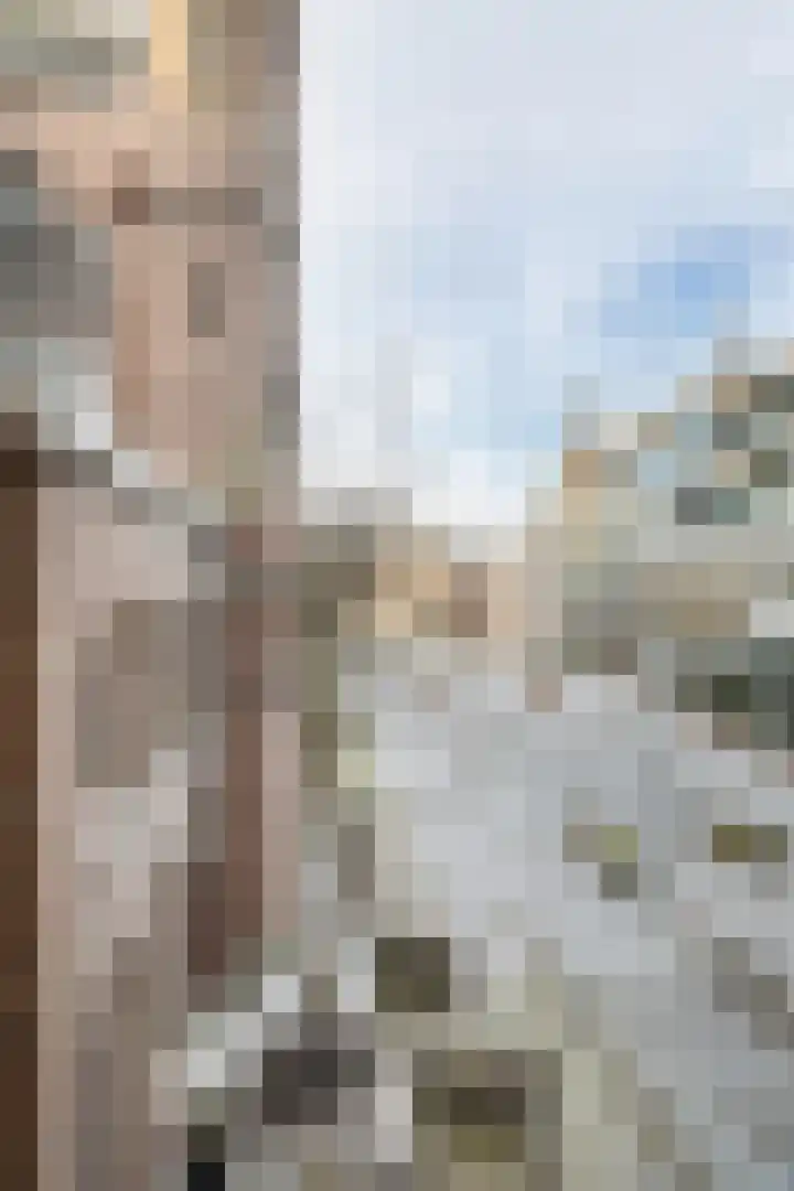 Papenhulst 1 D 's-Hertogenbosch thumbnail 42