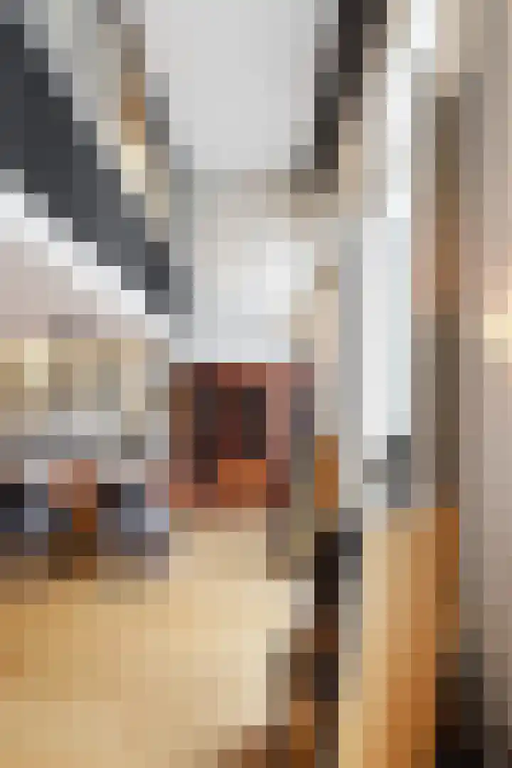 Papenhulst 1 D 's-Hertogenbosch thumbnail 7