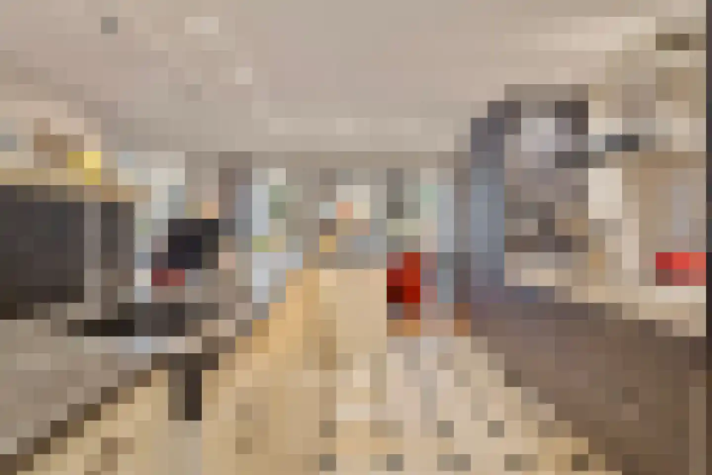 Papenhulst 3 A 's-Hertogenbosch thumbnail 11