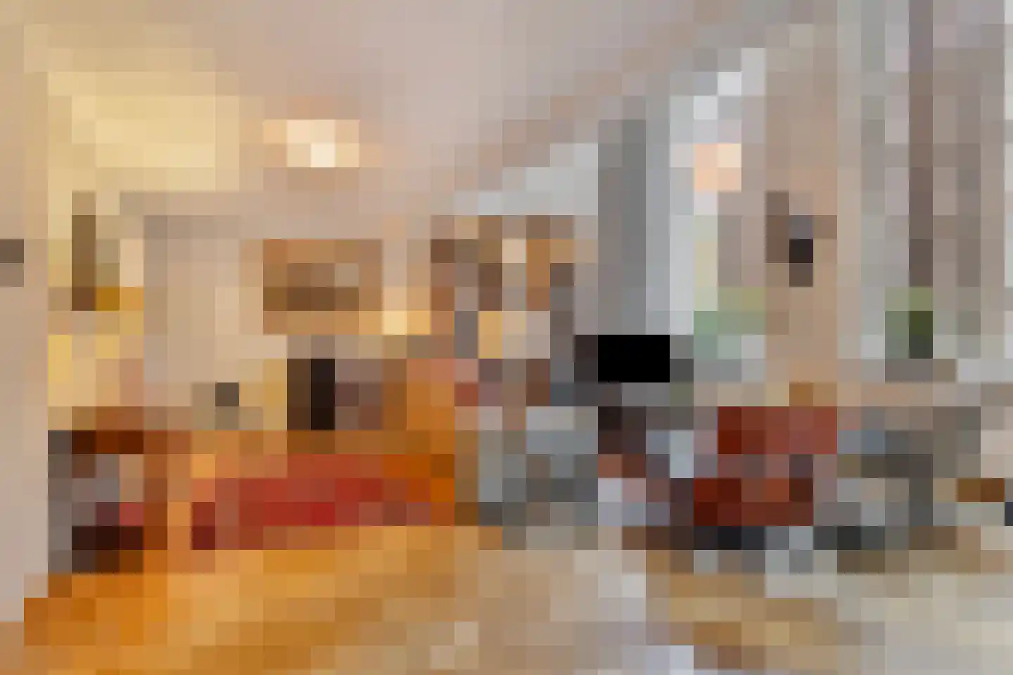 Papenhulst 3 A 's-Hertogenbosch thumbnail 14