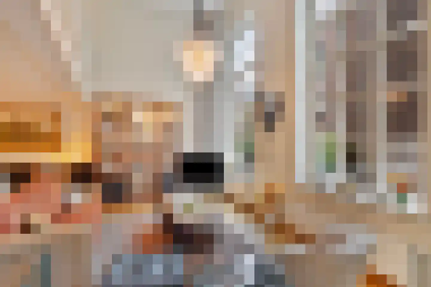 Papenhulst 3 A 's-Hertogenbosch thumbnail 16