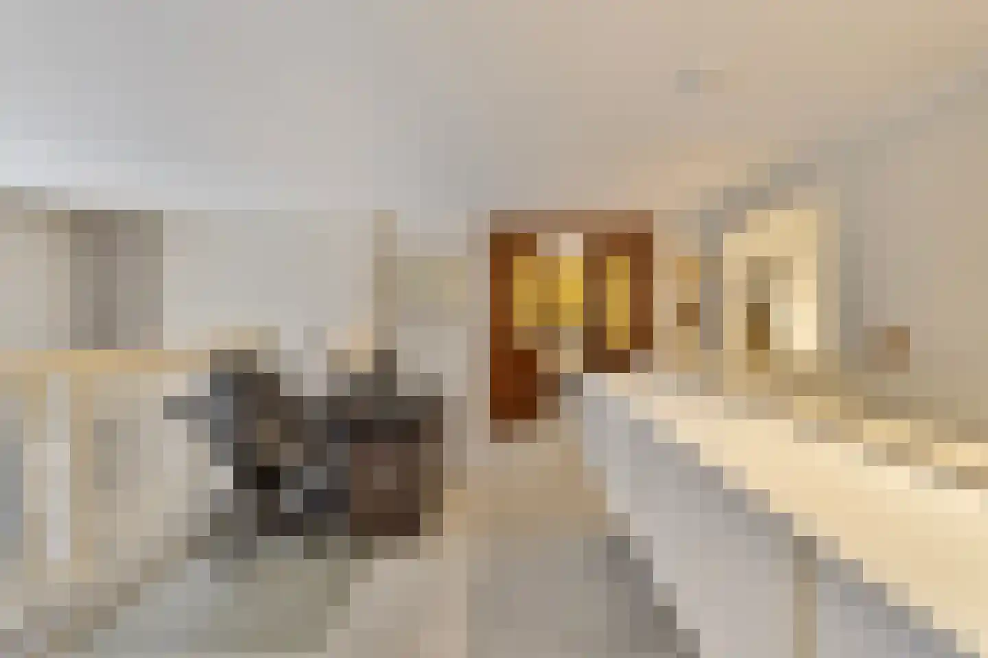 Papenhulst 3 A 's-Hertogenbosch thumbnail 25