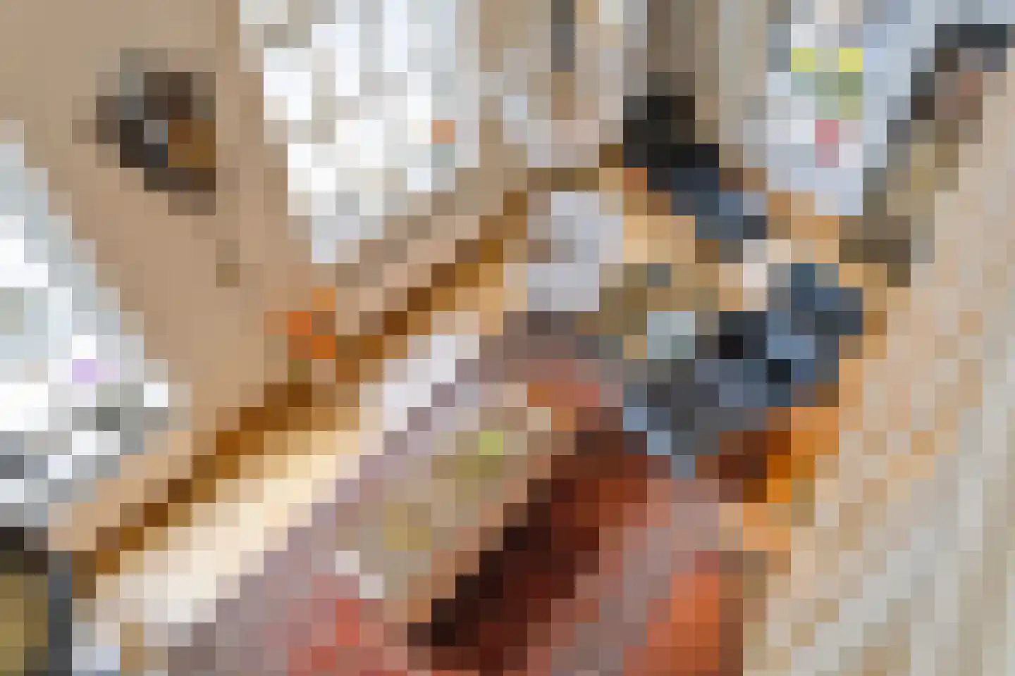 Papenhulst 3 A 's-Hertogenbosch thumbnail 28