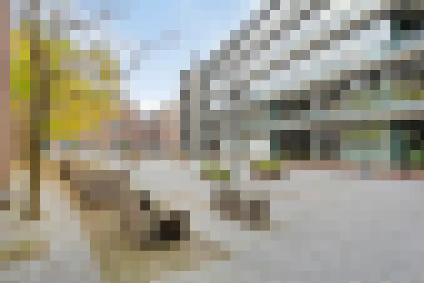 Papenhulst 3 A 's-Hertogenbosch thumbnail 41