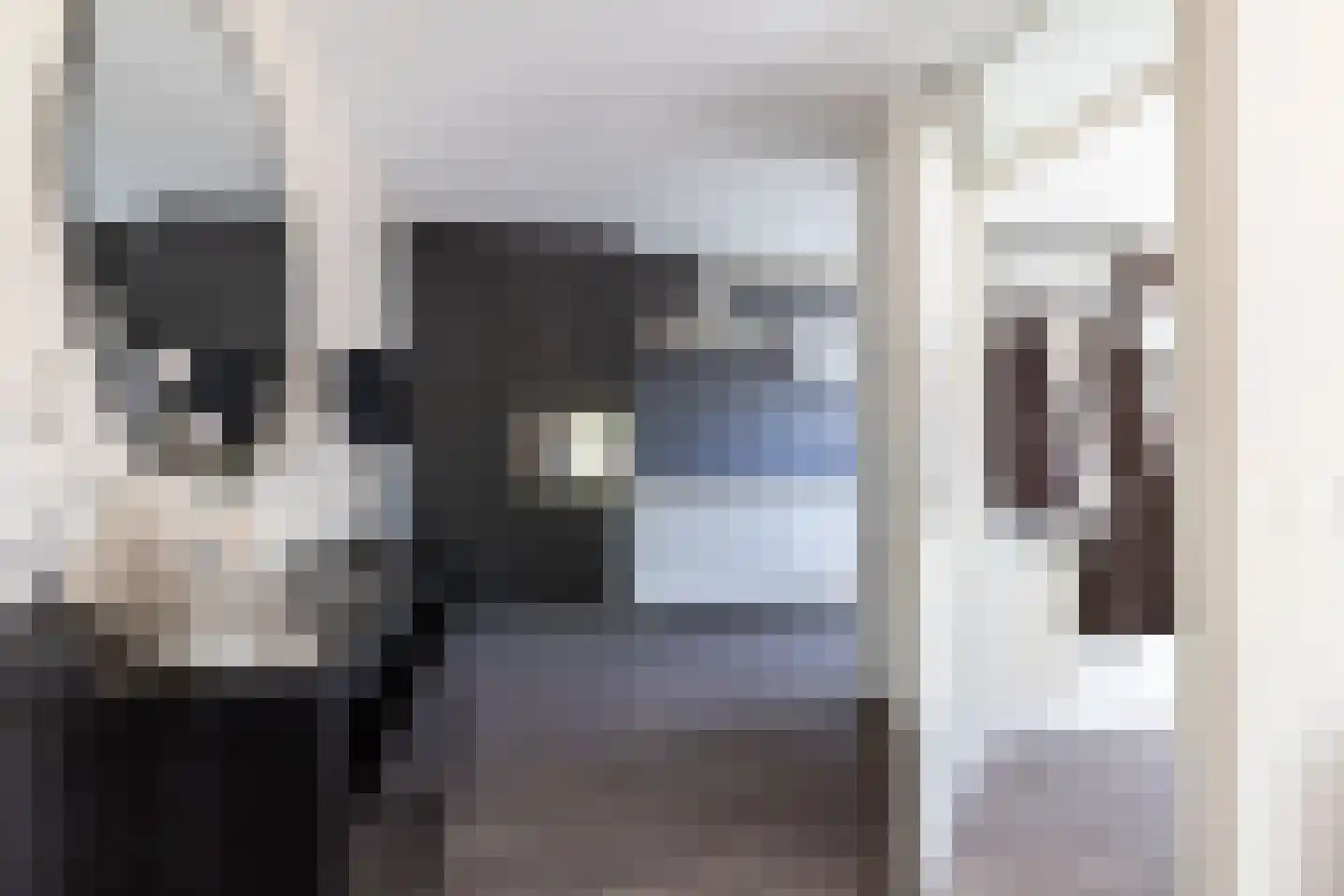 Papenkamp 32 Beilen thumbnail 13