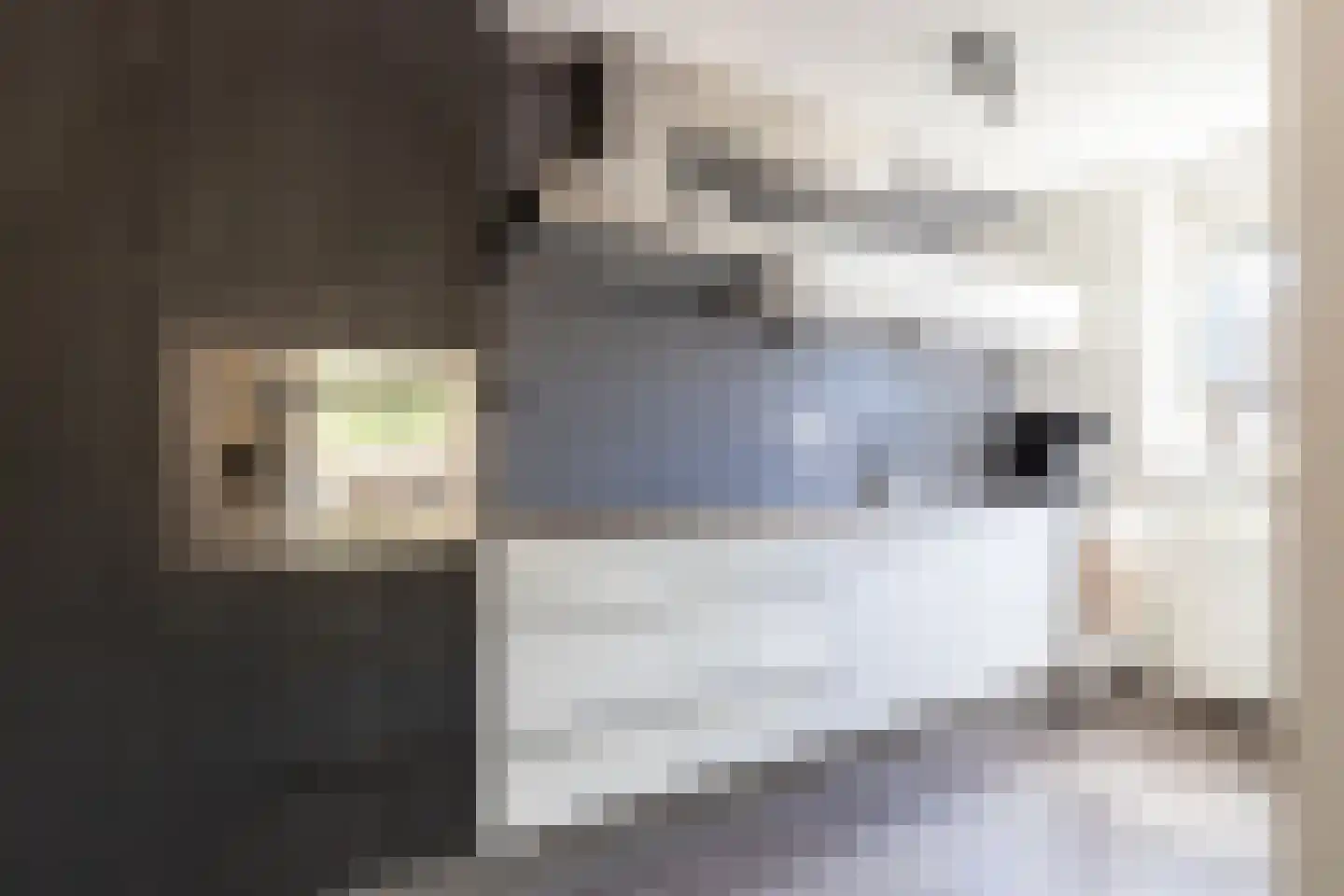 Papenkamp 32 Beilen thumbnail 14