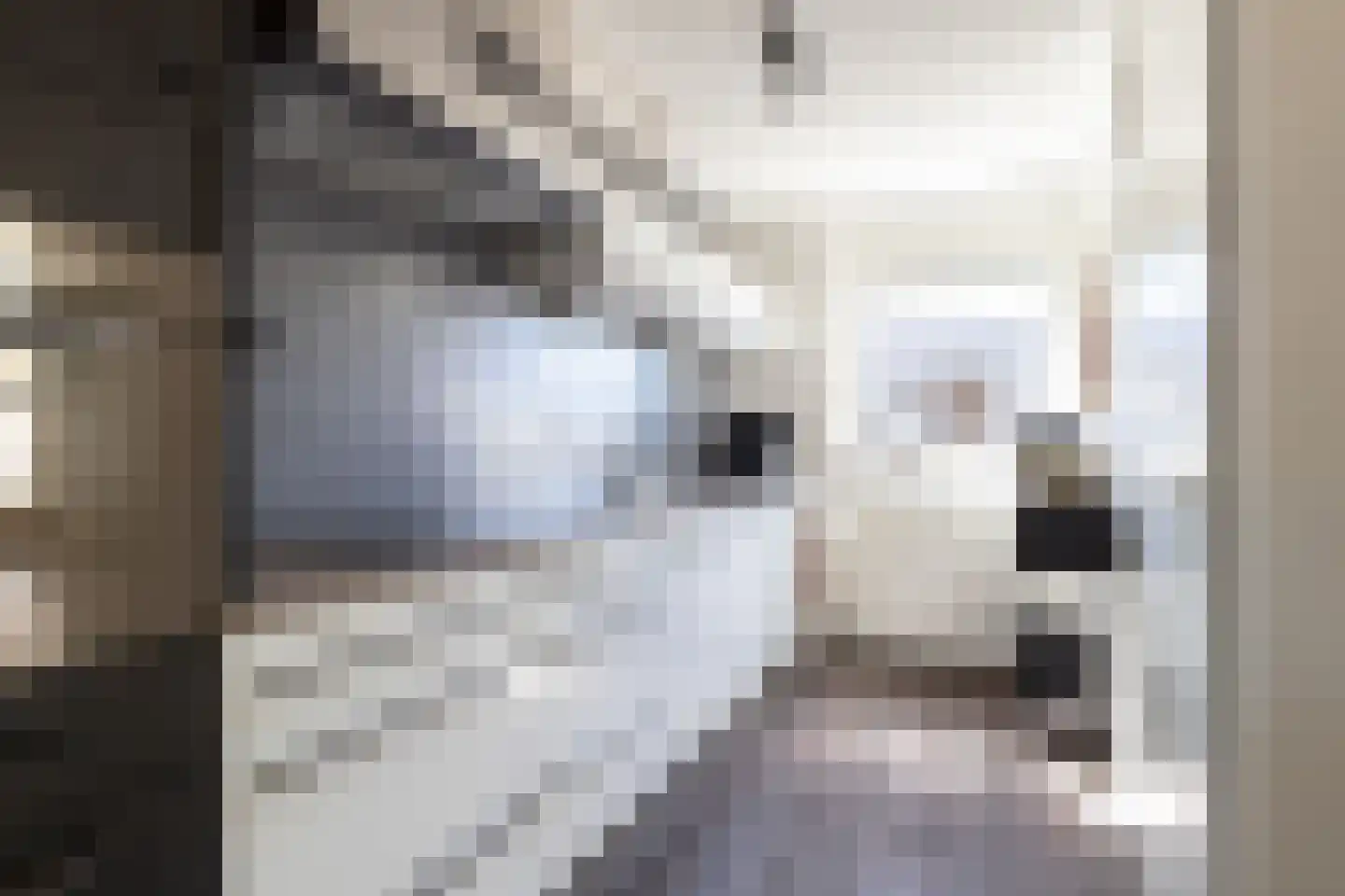 Papenkamp 32 Beilen thumbnail 15