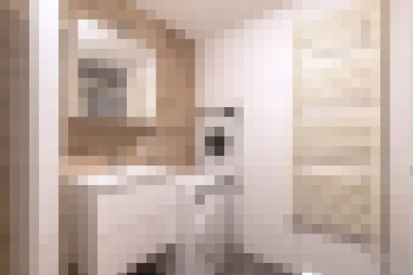 Papenkamp 32 Beilen thumbnail 20