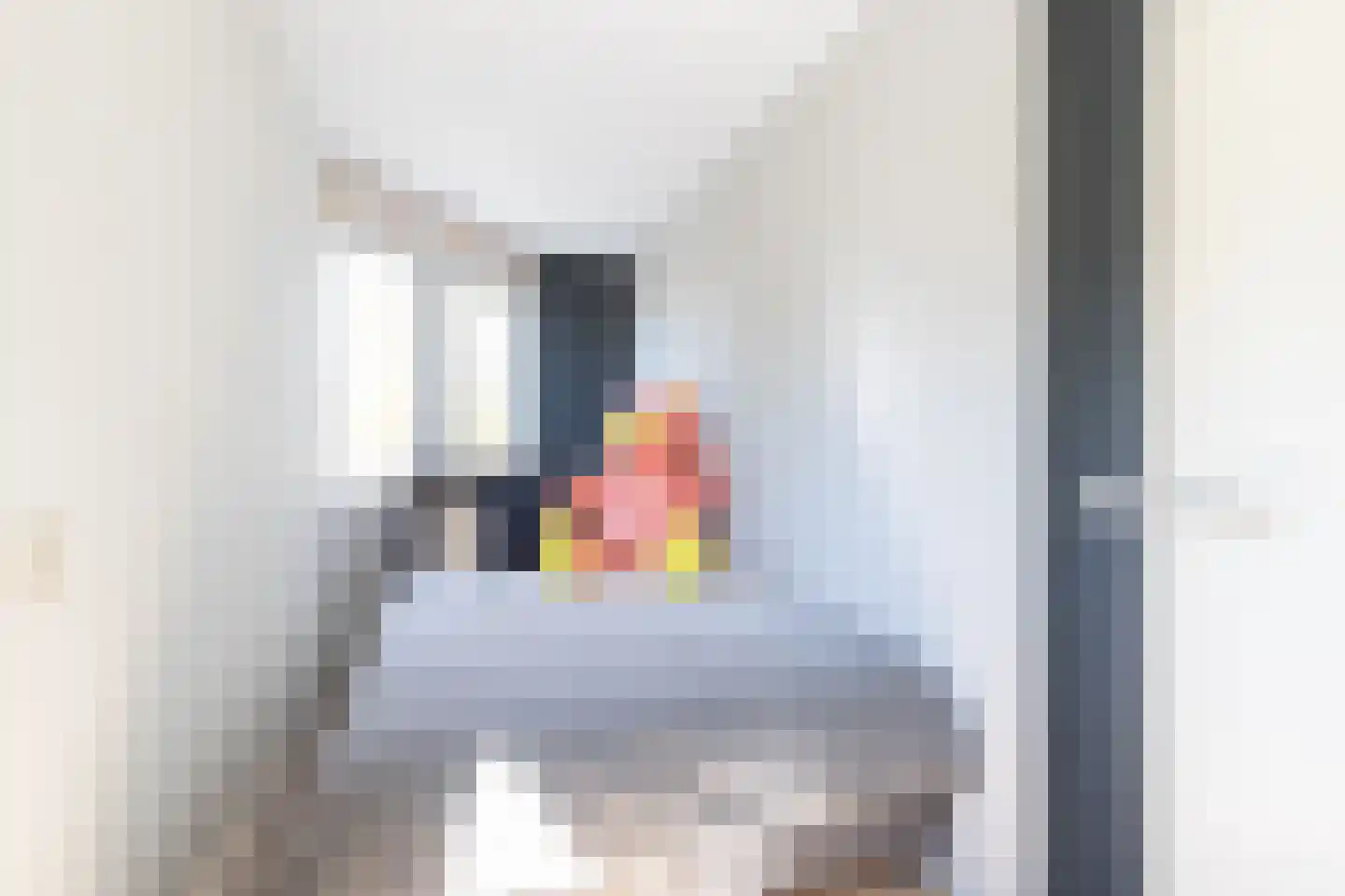Papenkamp 32 Beilen thumbnail 25