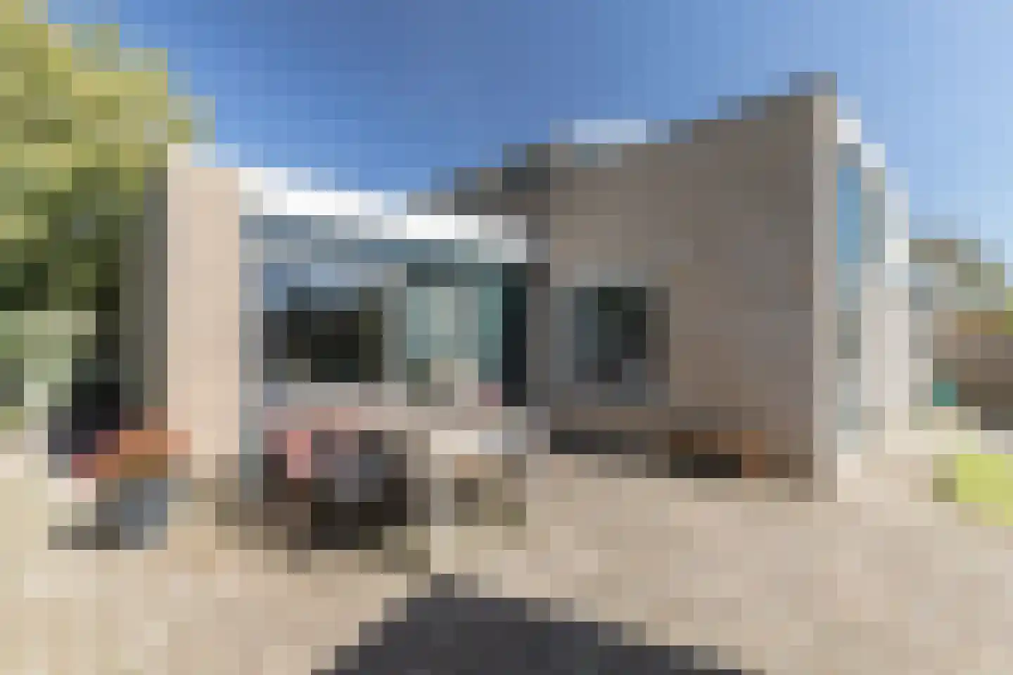 Papenkamp 32 Beilen thumbnail 27