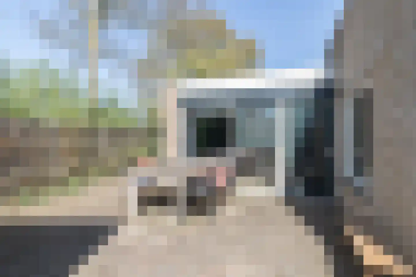 Papenkamp 32 Beilen thumbnail 29