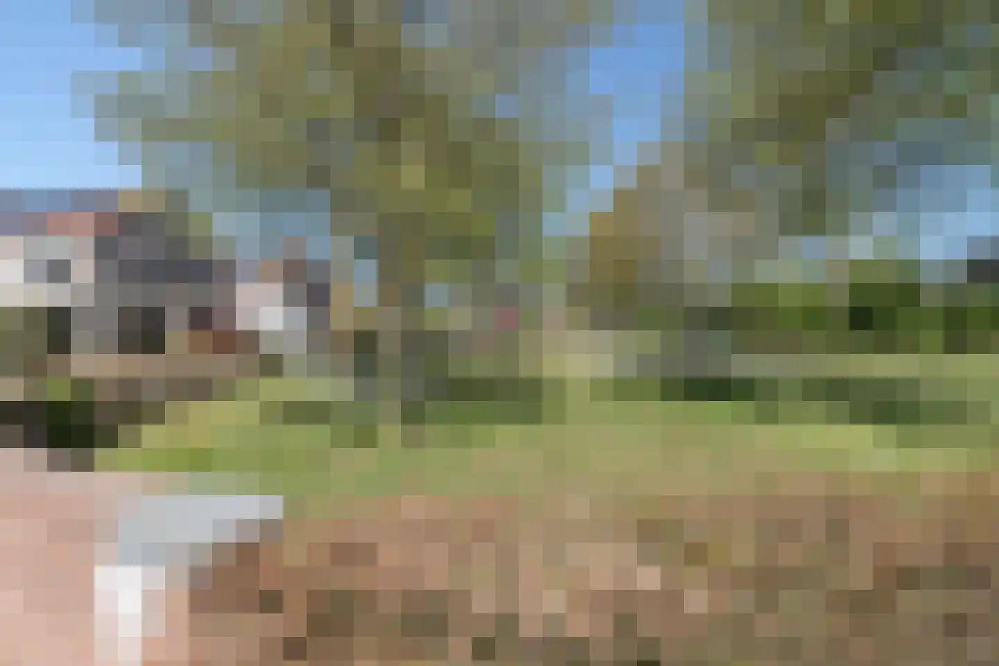 Papenkamp 32 Beilen thumbnail 34