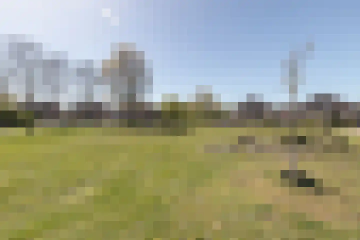 Papenkamp 32 Beilen thumbnail 37