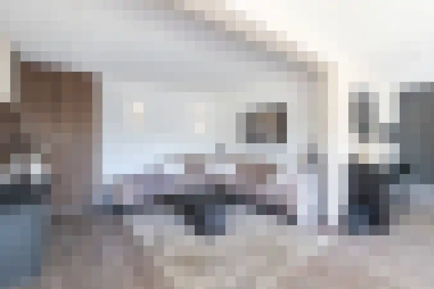Papenkamp 32 Beilen thumbnail 8