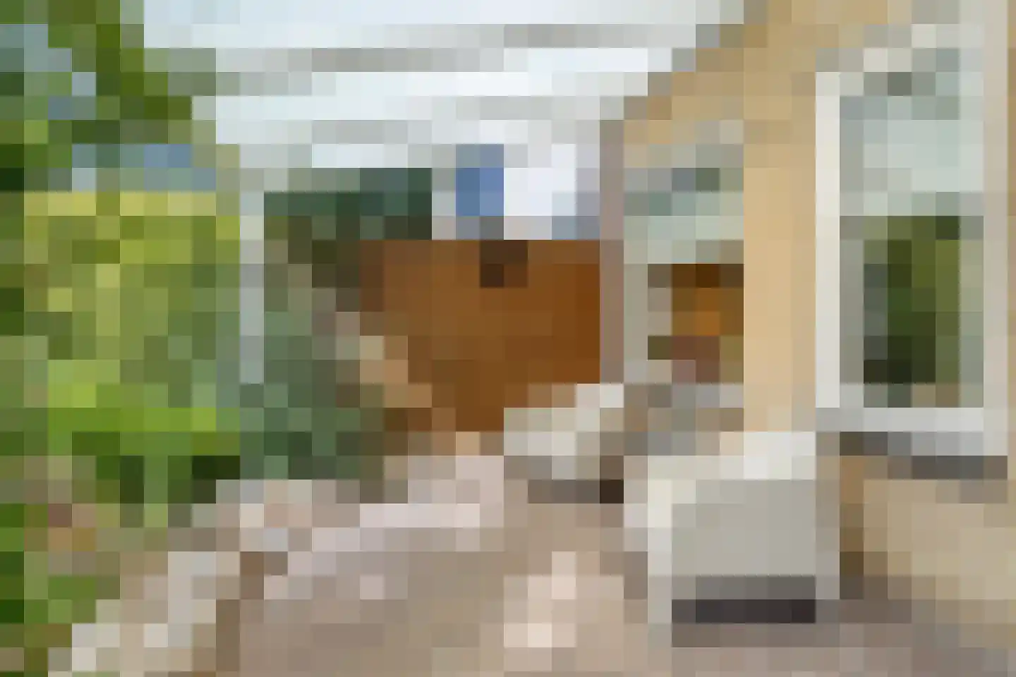 Papenkamp 37 Beilen thumbnail 33