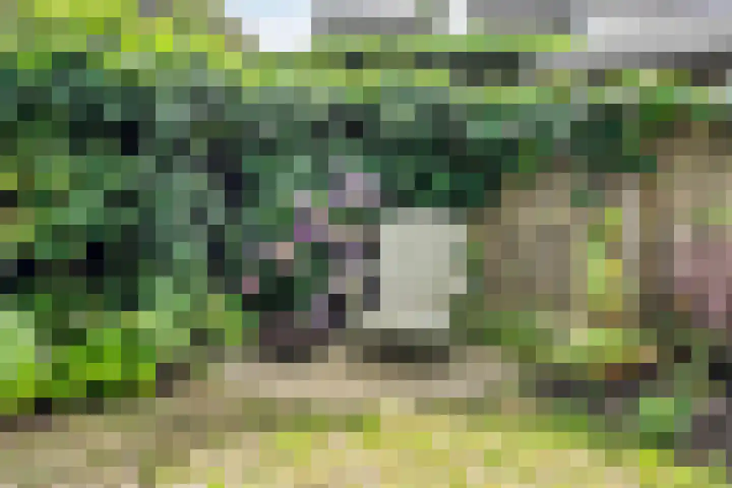 Papenkamp 37 Beilen thumbnail 36
