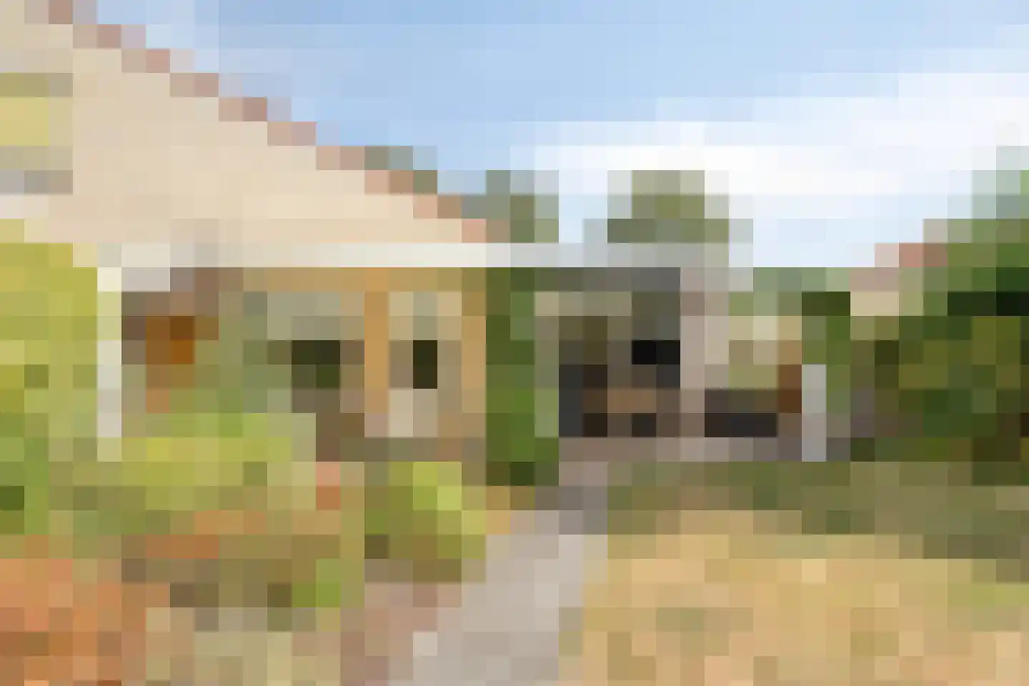 Papenkamp 37 Beilen thumbnail 39