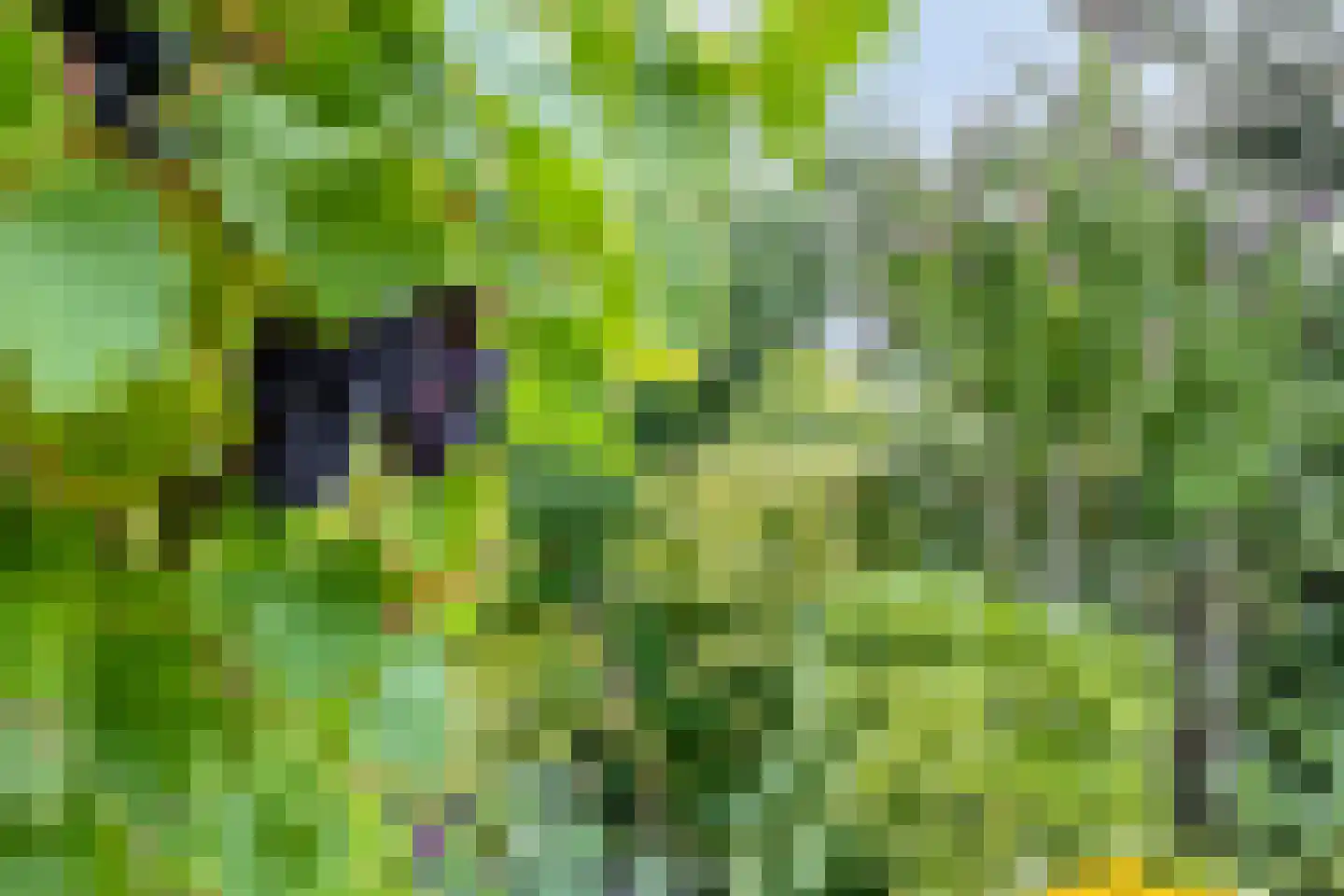 Papenkamp 37 Beilen thumbnail 40