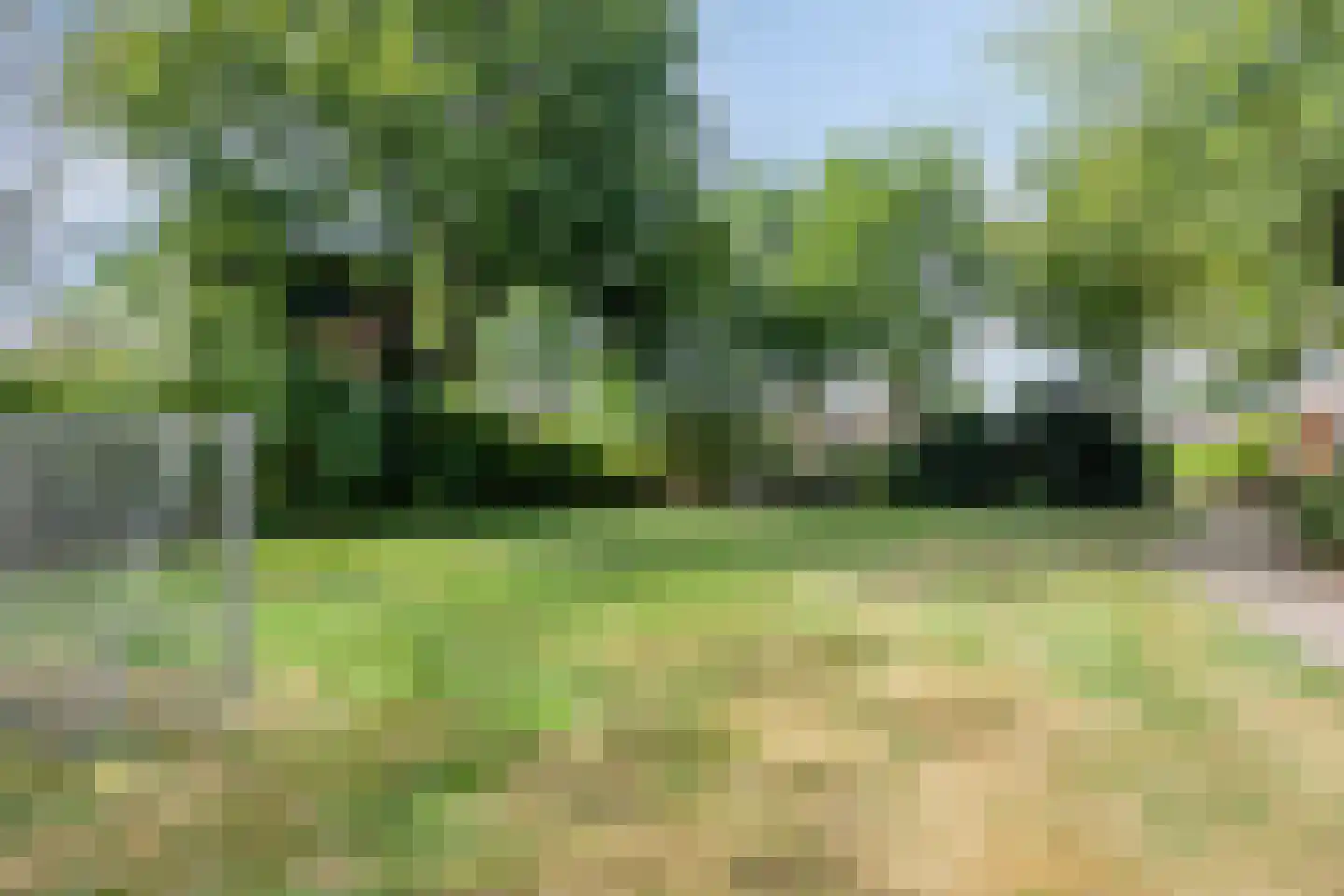 Papenkamp 37 Beilen thumbnail 45