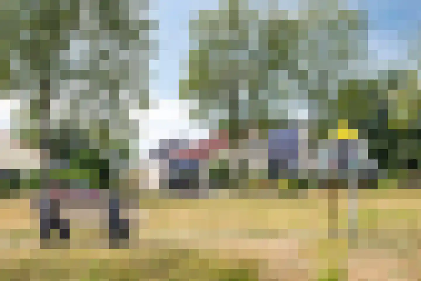 Papenkamp 37 Beilen thumbnail 48