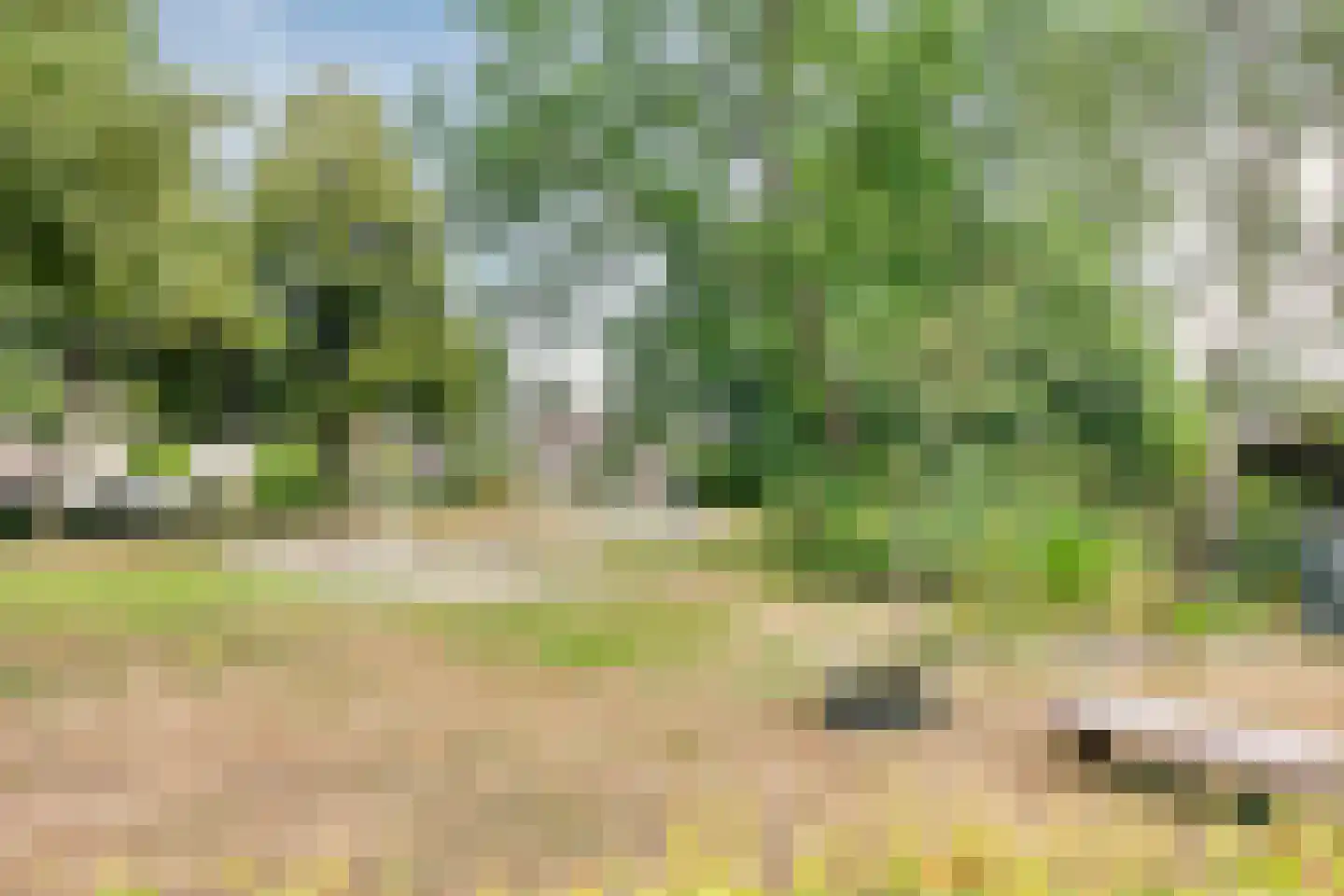 Papenkamp 37 Beilen thumbnail 50