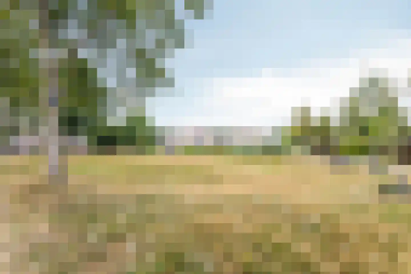 Papenkamp 37 Beilen thumbnail 51