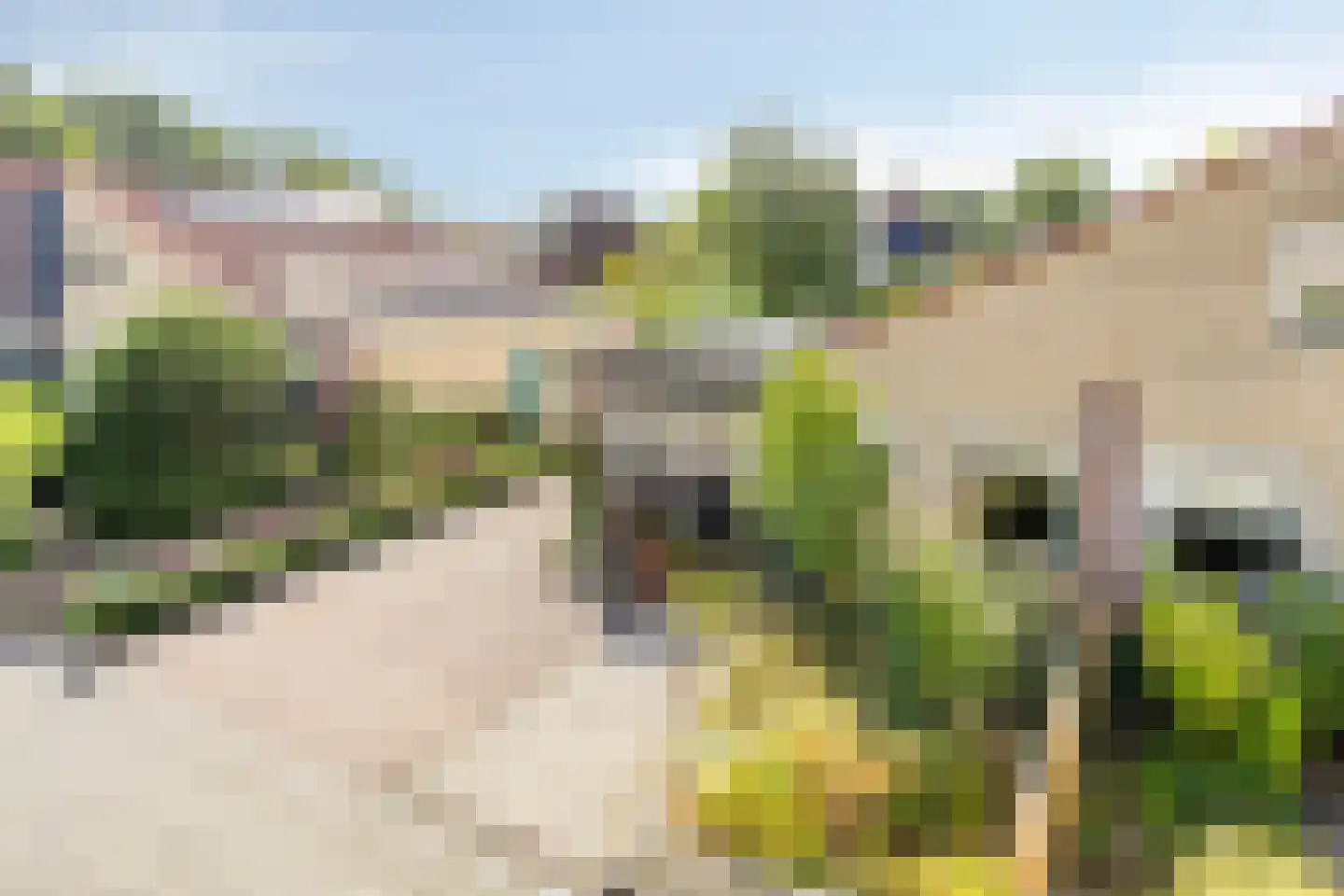Papenkamp 37 Beilen thumbnail 8