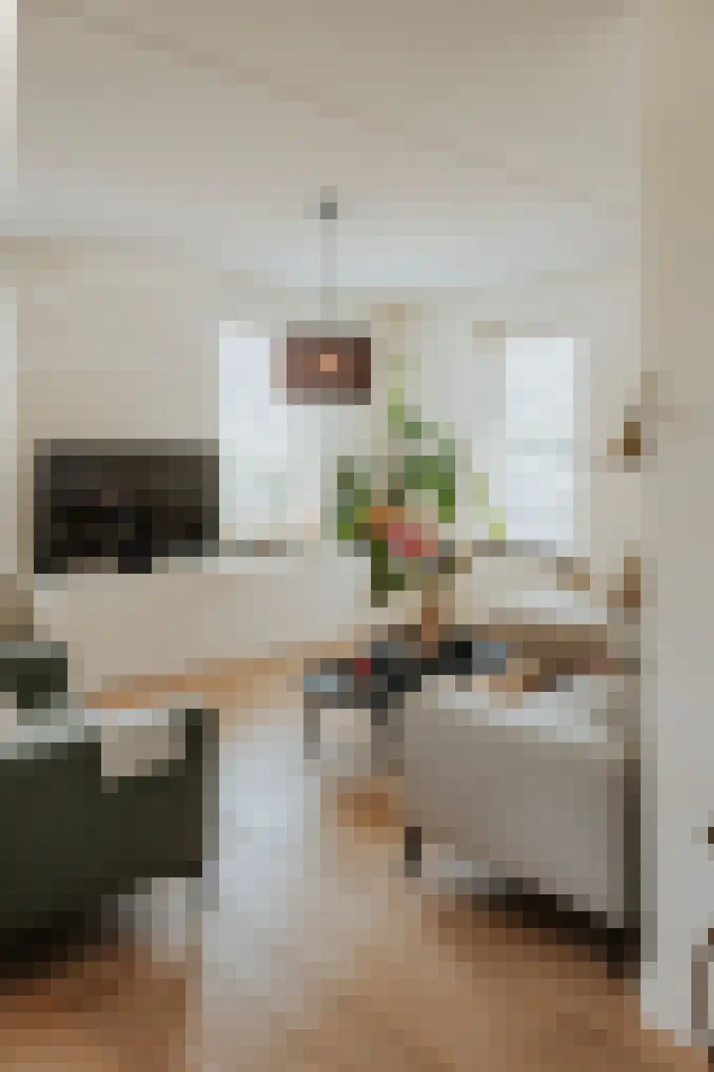 Papenmuts 18 IJzendijke thumbnail 11