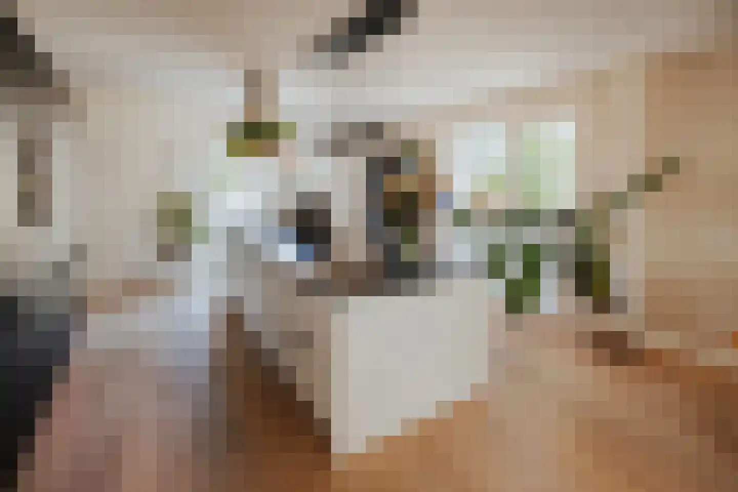 Papenmuts 18 IJzendijke thumbnail 12
