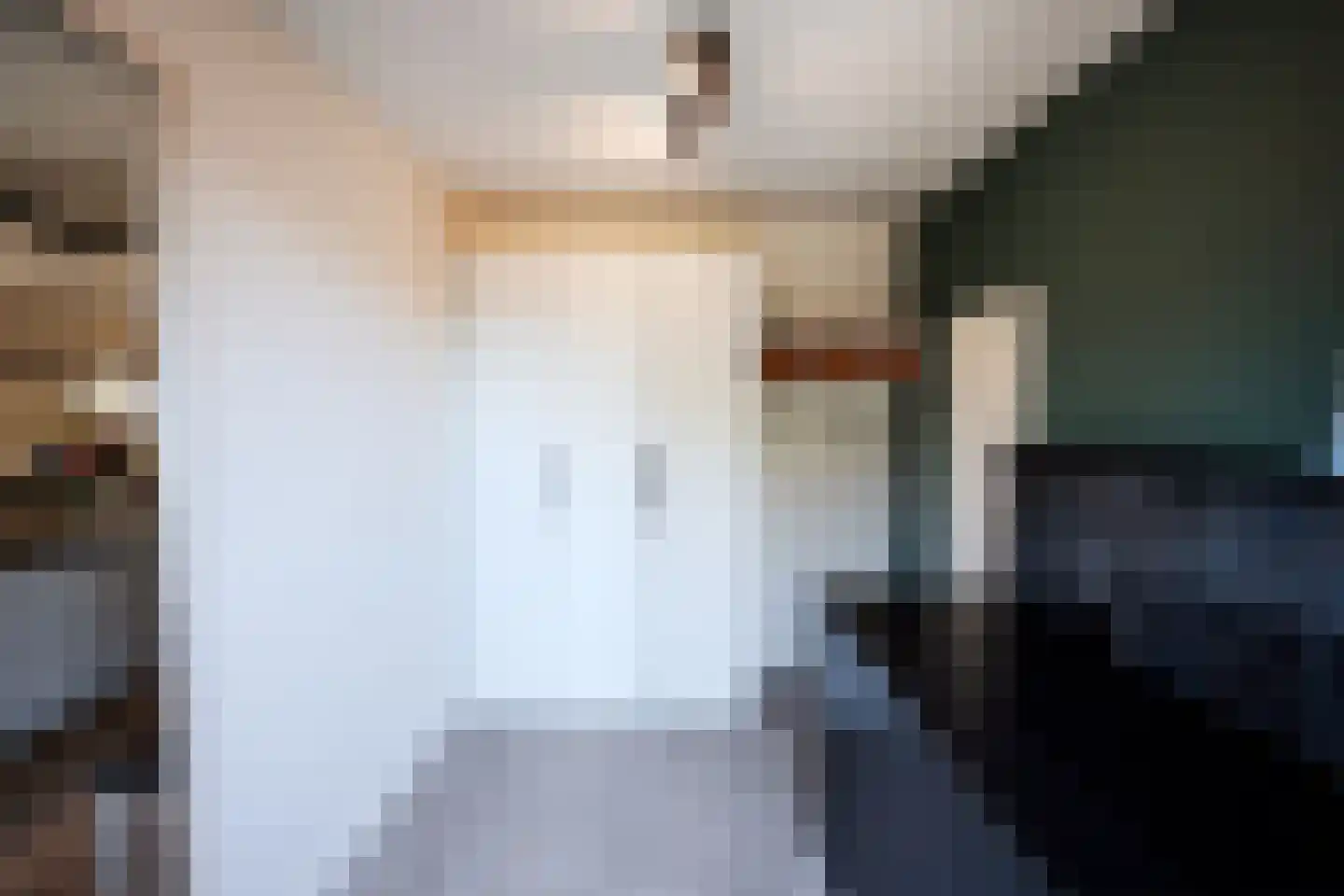 Papenmuts 18 IJzendijke thumbnail 14