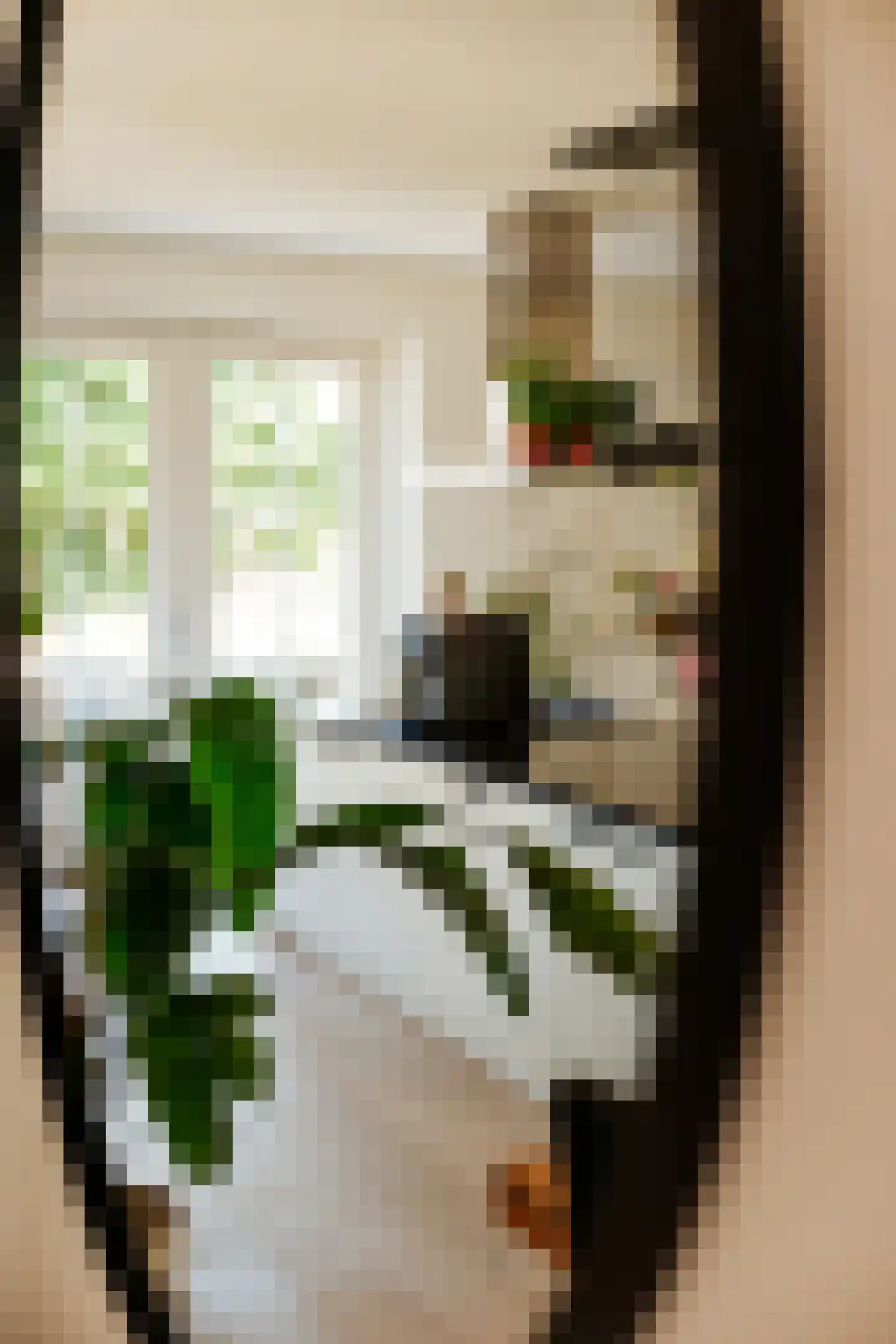 Papenmuts 18 IJzendijke thumbnail 15