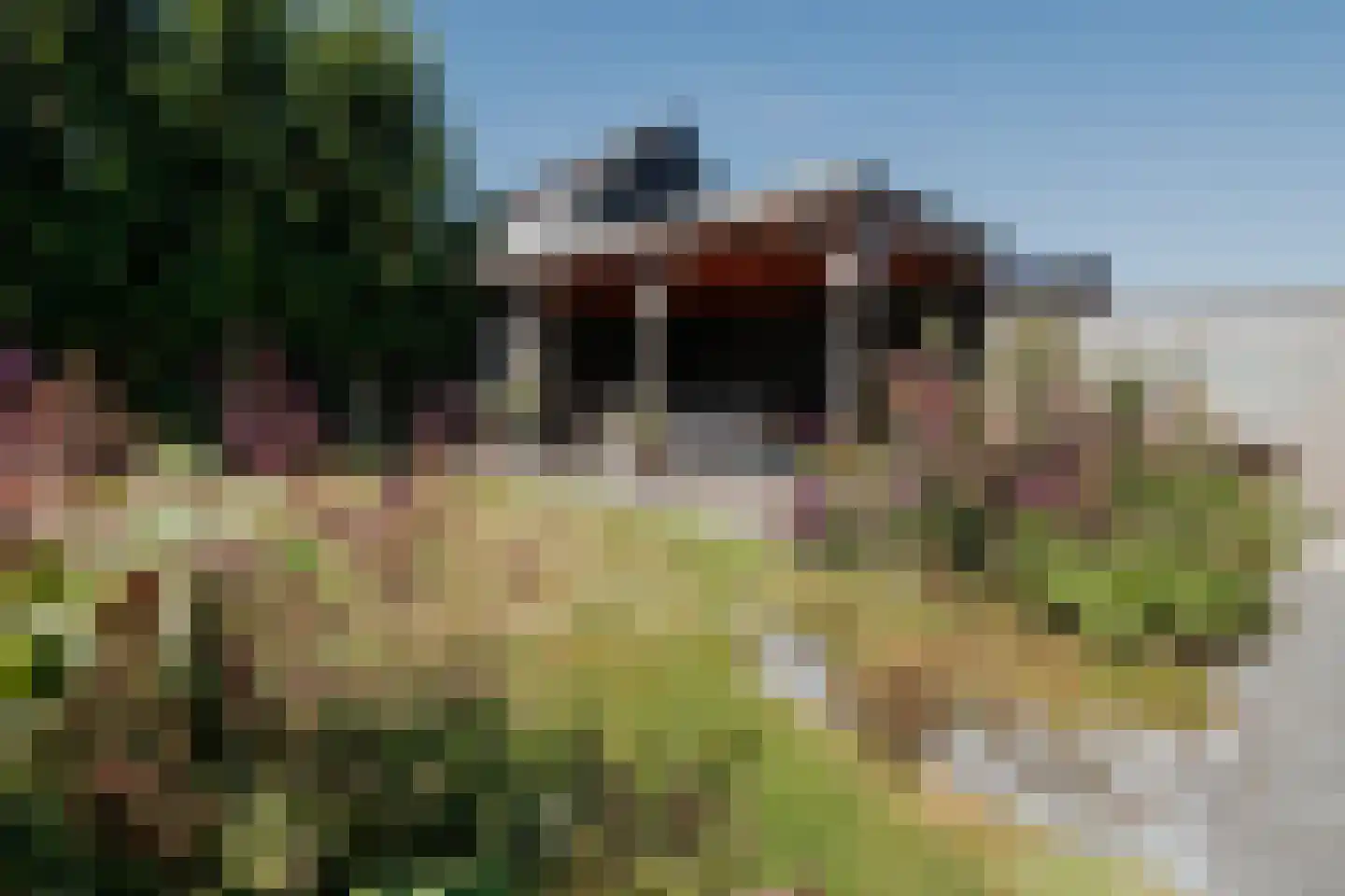Papenmuts 18 IJzendijke thumbnail 17