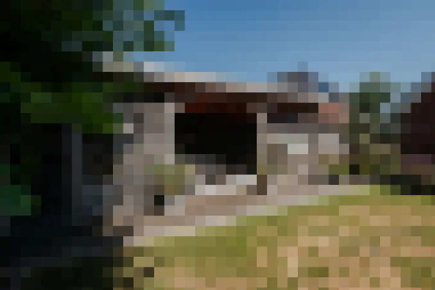 Papenmuts 18 IJzendijke thumbnail 18